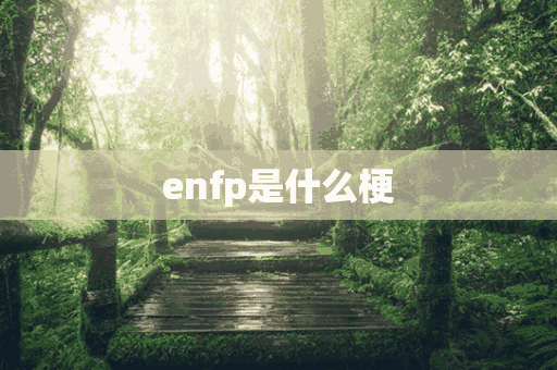 enfp是什么梗